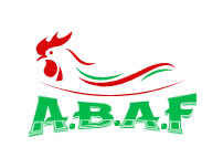 abaf-pl.com